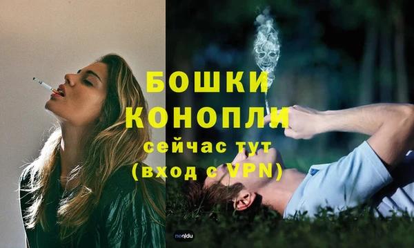 индика Семилуки