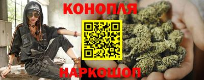мдпв Кандалакша