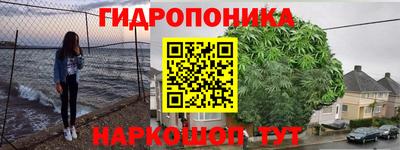 мдпв Кандалакша
