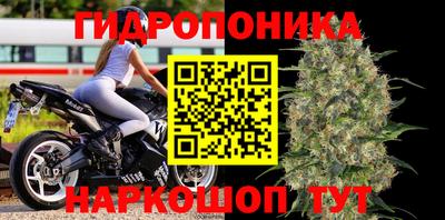 ECSTASY Камышлов