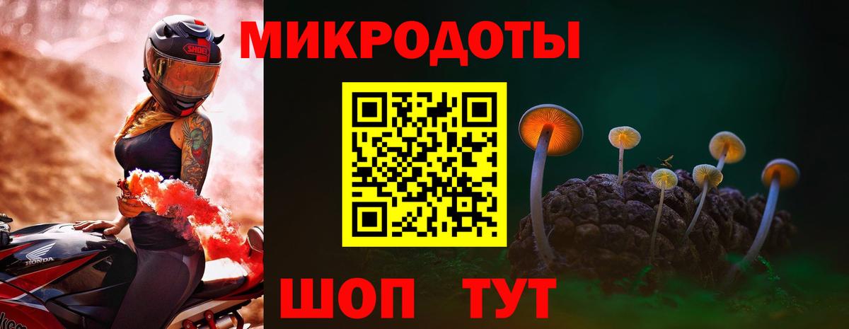 Галлюциногенные грибы прущие грибы Елабуга